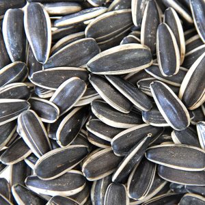 Sunflower seeds type363