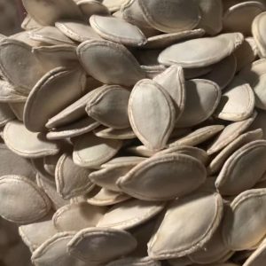 shineskin pumpkin seeds