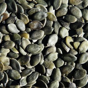 GWS Pumpkin seeds