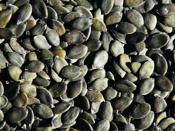 GWS Pumpkin seeds