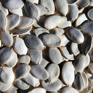 Snow white pumpkin seeds