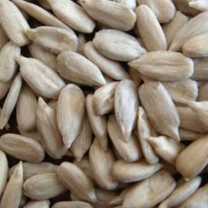 Bread grade sunflower